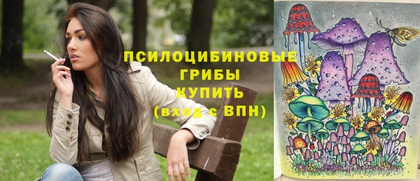 таблы Армянск