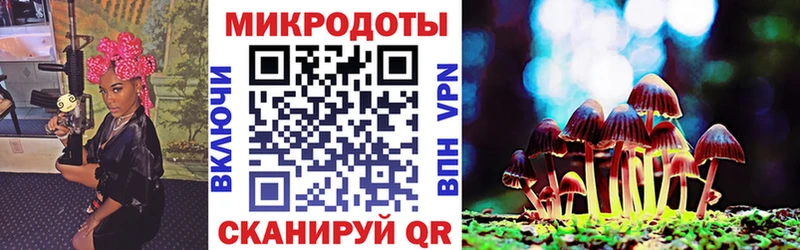 Галлюциногенные грибы Psilocybine cubensis купить закладку Карачев